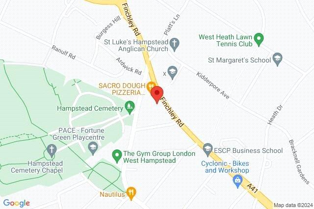 Google Maps Image