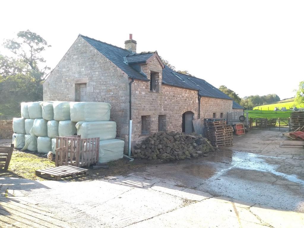 Lot 4