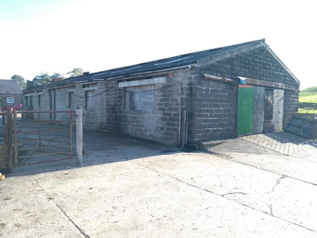 Lot 5