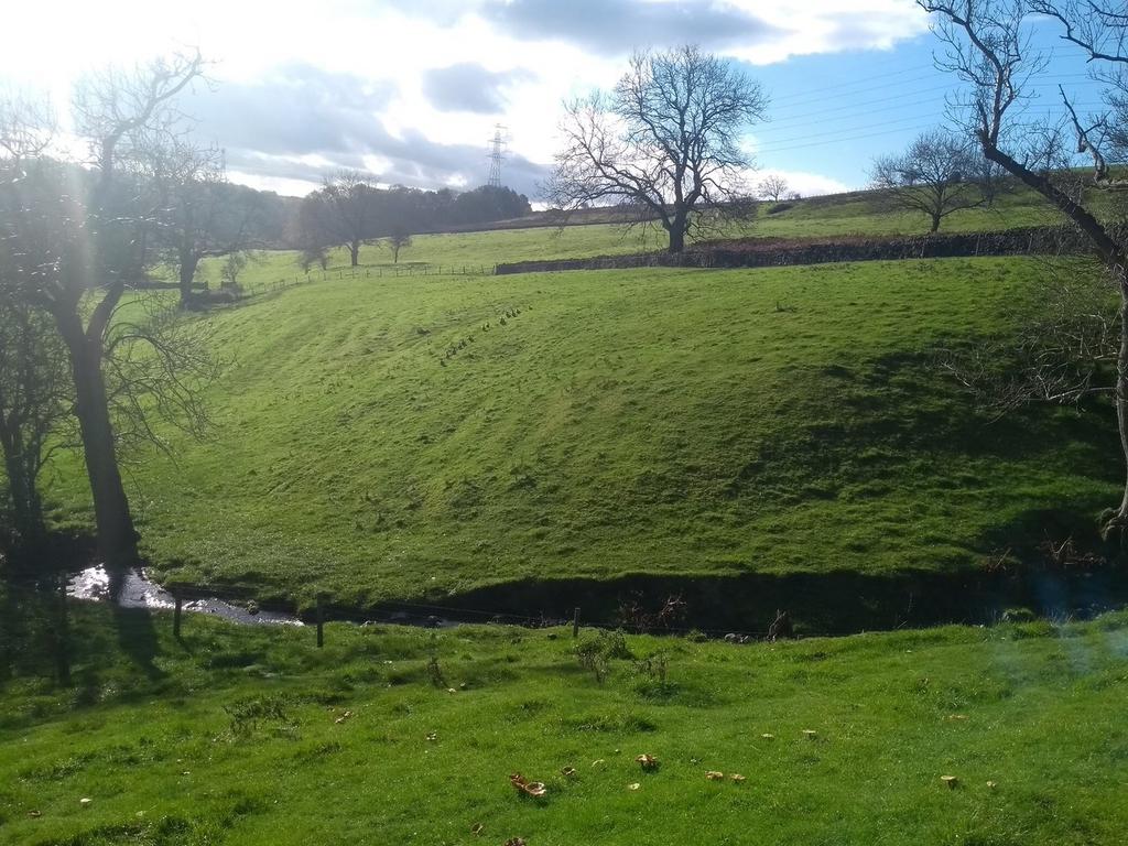LOT 7: 1.32 Acres Paddock