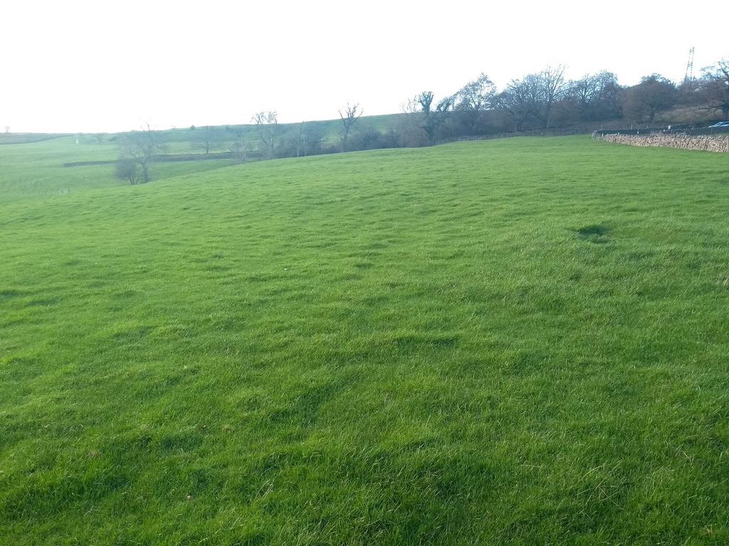LOT 8: 3.30 Acres Paddock