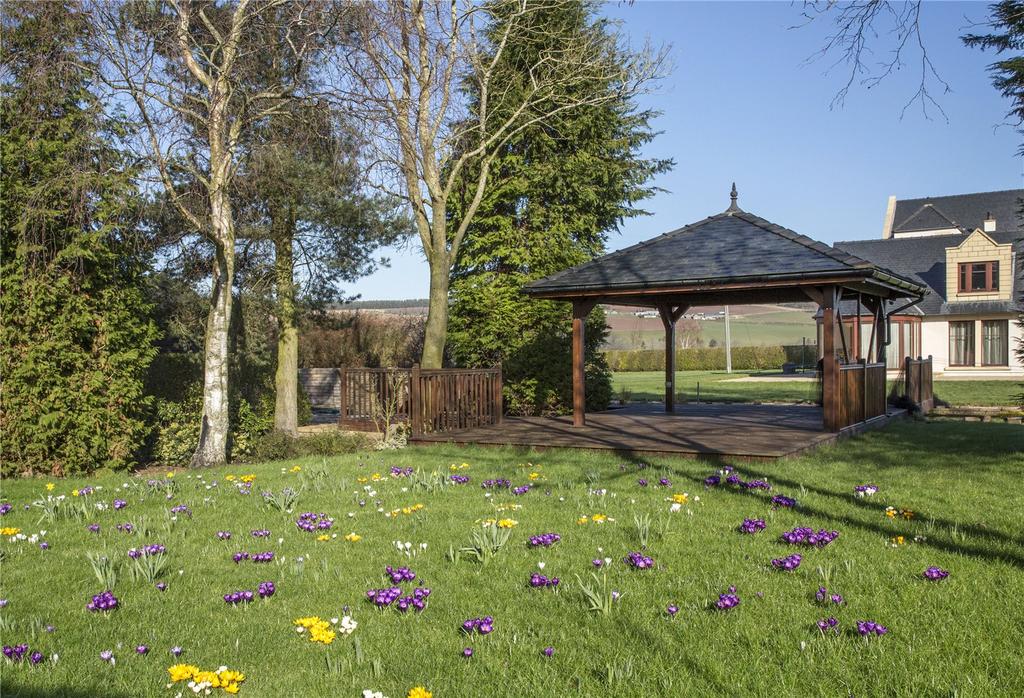 Gazebo In Spring