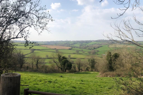 Land for sale - Box Hill, Box Hill, Corsham, Wiltshire, SN13 8ET