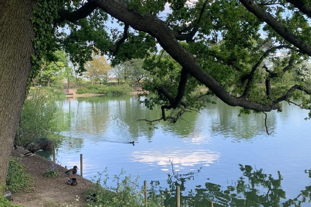 South Norwood Lake