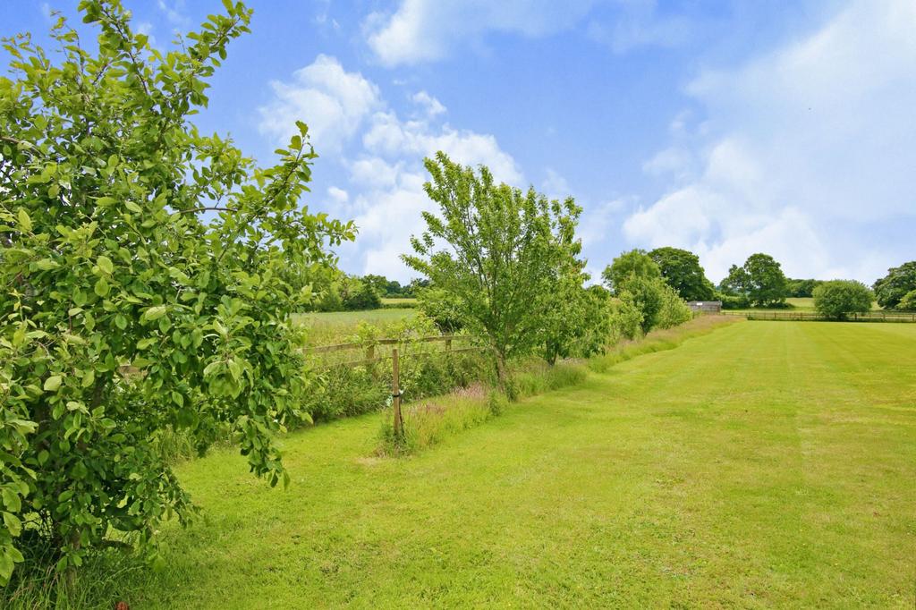 Garden/Trees