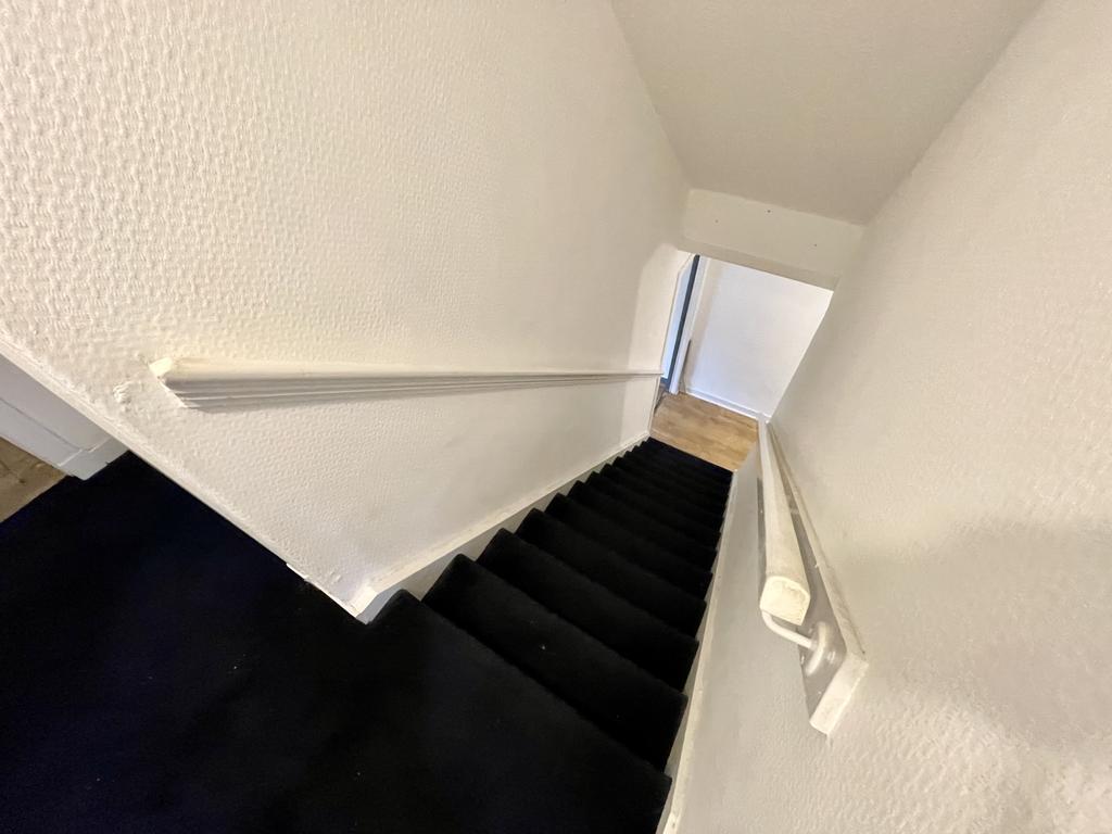 Img 3615