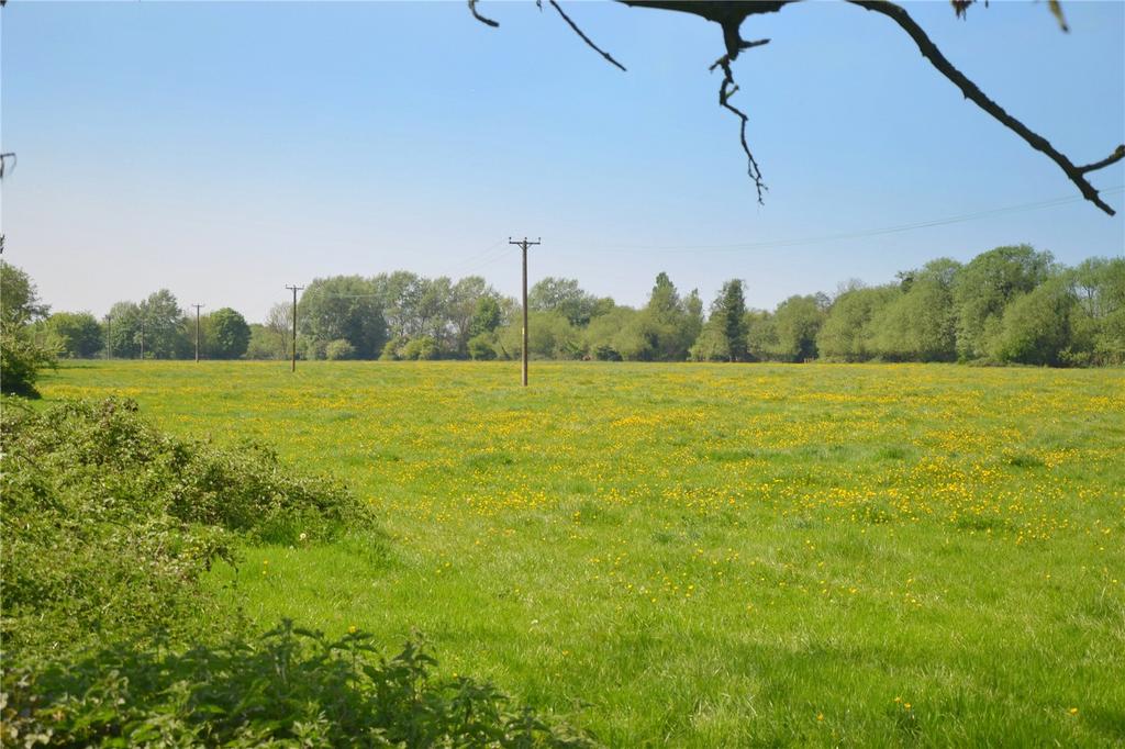 The Field View