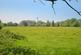 The Field View
