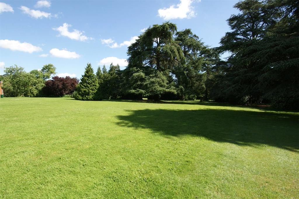 Grounds