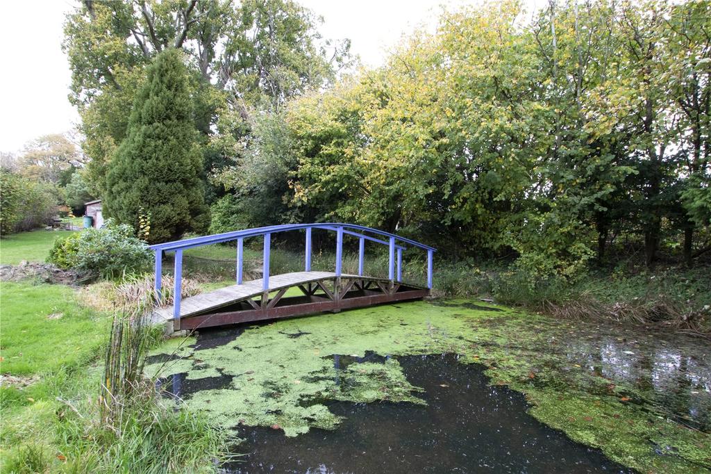 Pond