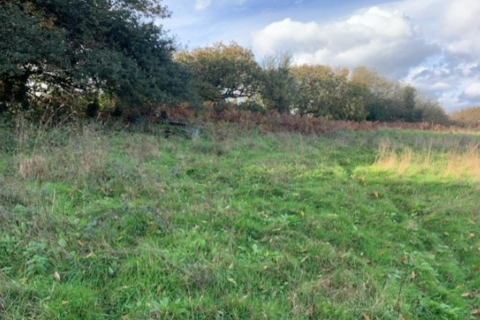 Land for sale - Mill Lane, Hastings, East Sussex, TN35 5DP