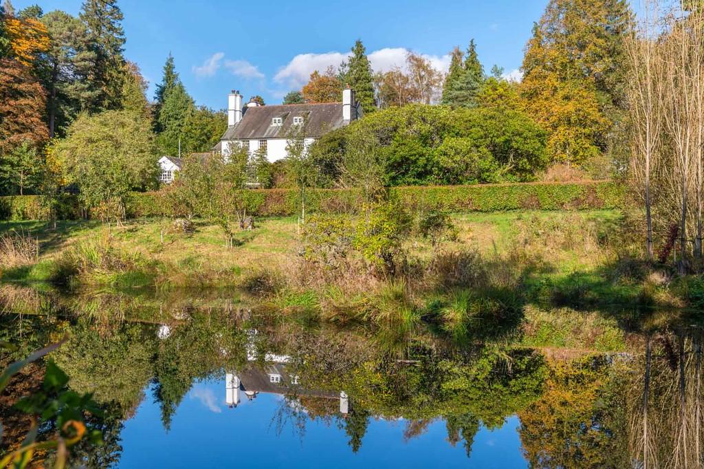 Swimming / Wildlife Pond