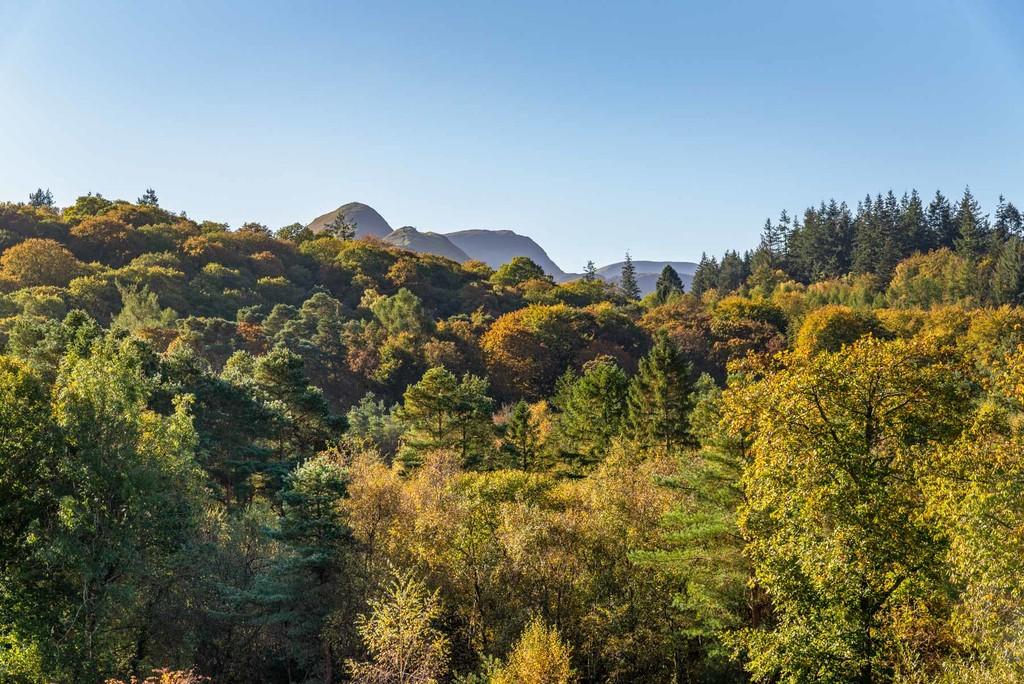 South Facing View To Catbells