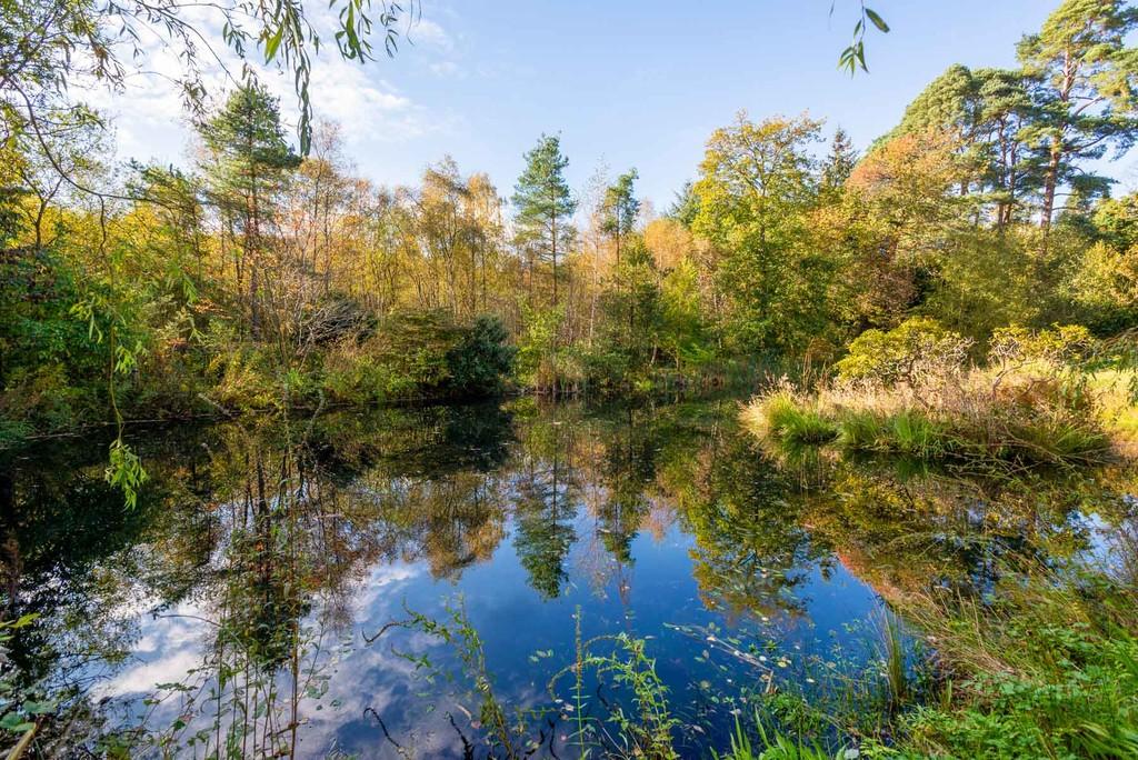 Swimming / Wildlife Pond