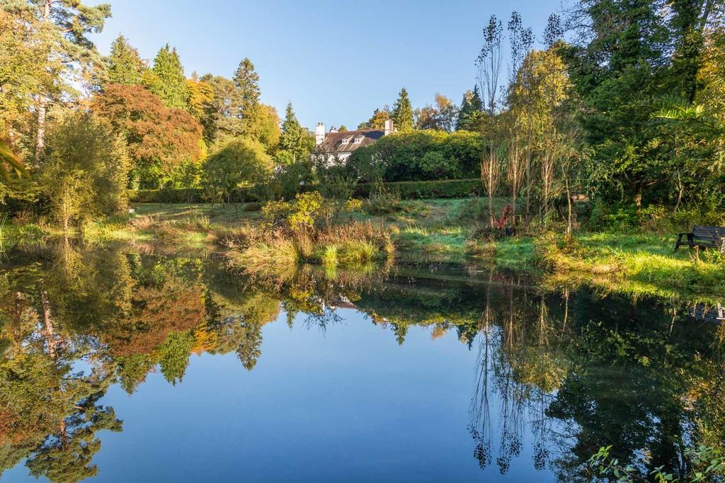 Swimming / Wildlife Pond