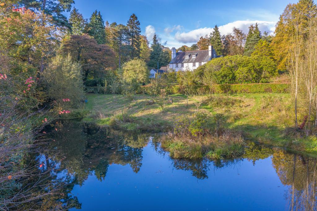 Swimming / Wildlife Pond