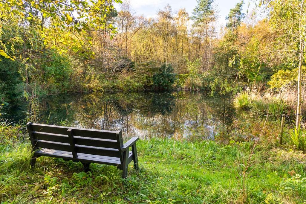 Swimming / Wildlife Pond