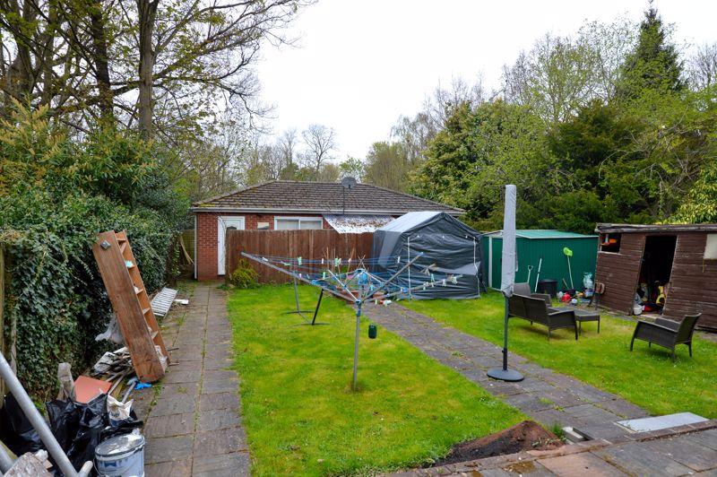 Back garden