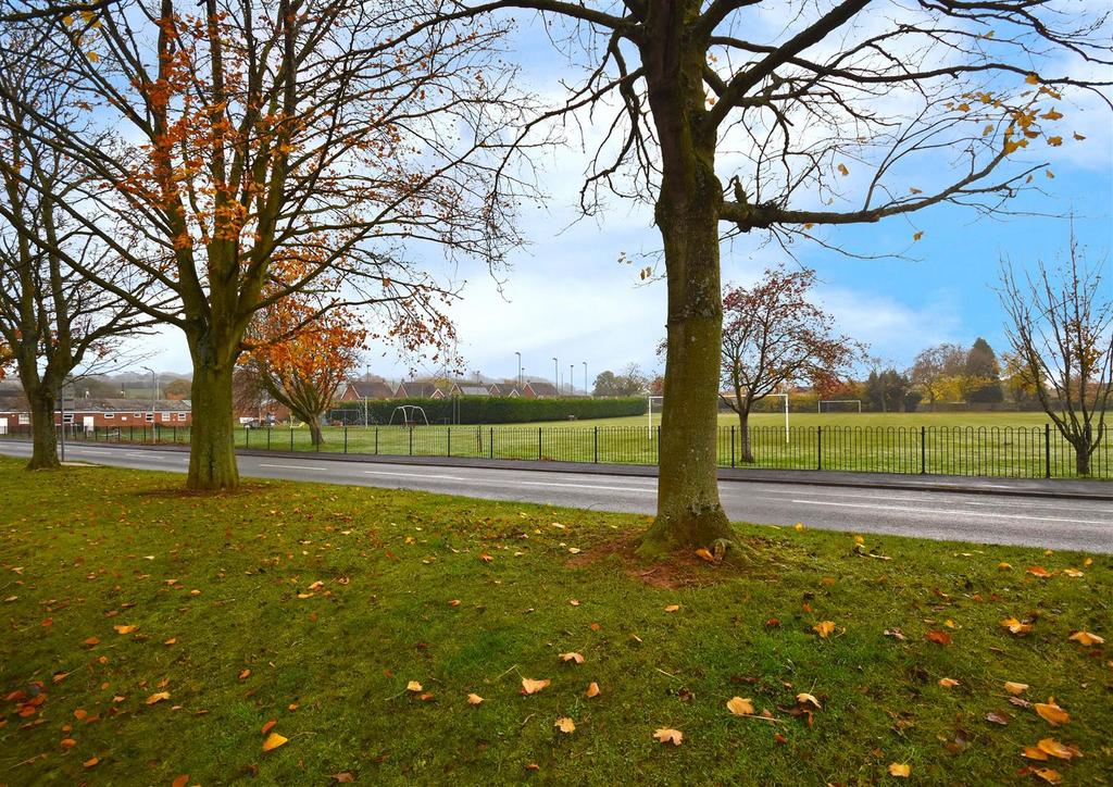 6 Lime Close-View.jpg