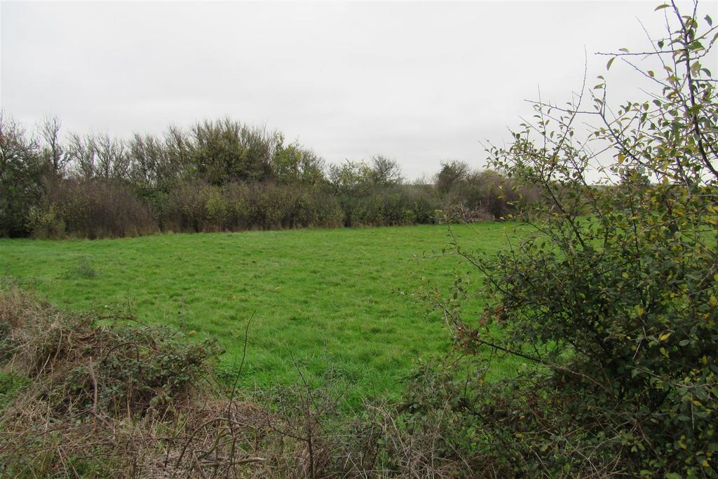 Img 3203.jpg