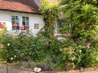 Garden Planting