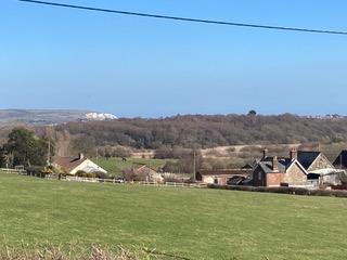 Local Walks