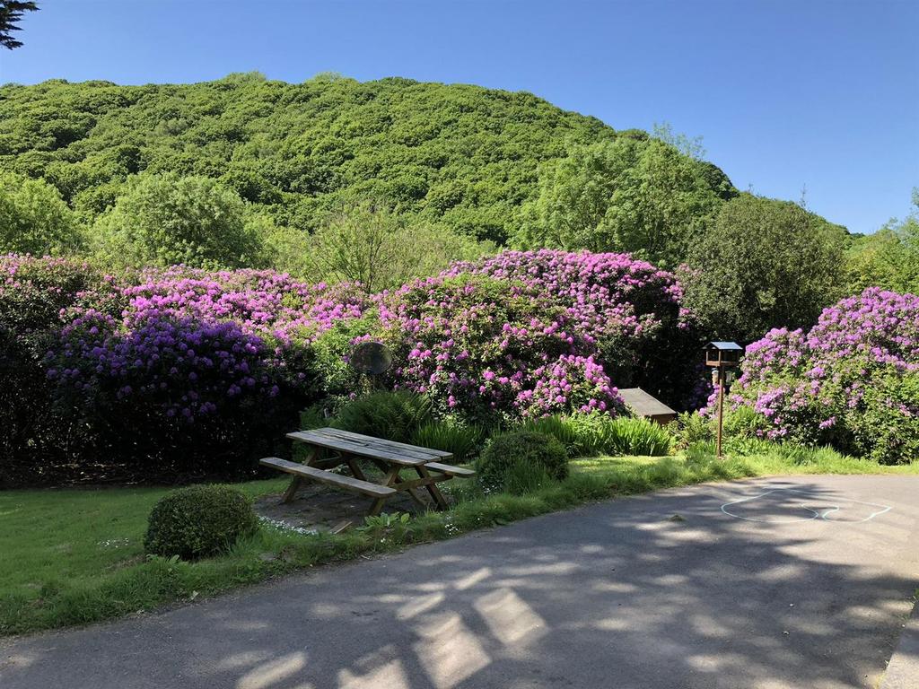 Front Garden.jpeg