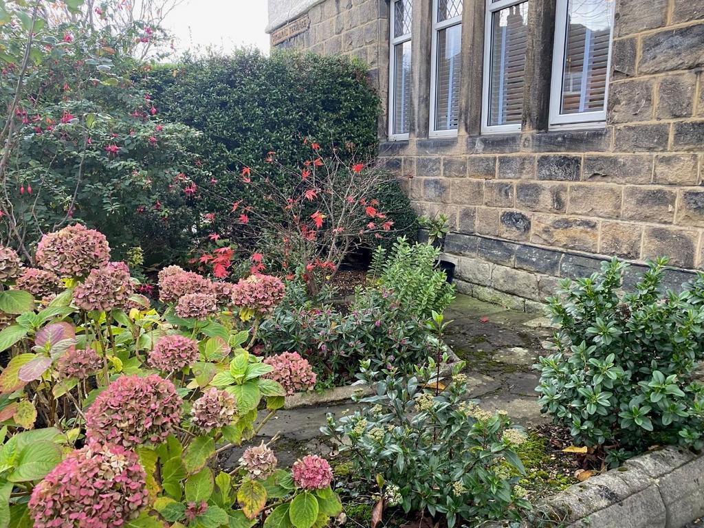 Front garden.jpg
