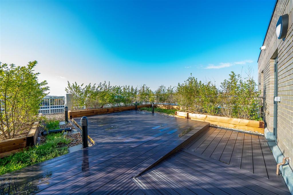 Communal Terrace
