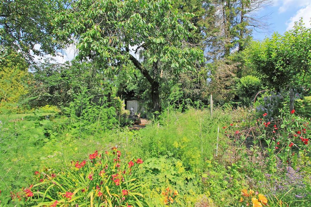Swampton House - Gardens in summer 2021.jpg