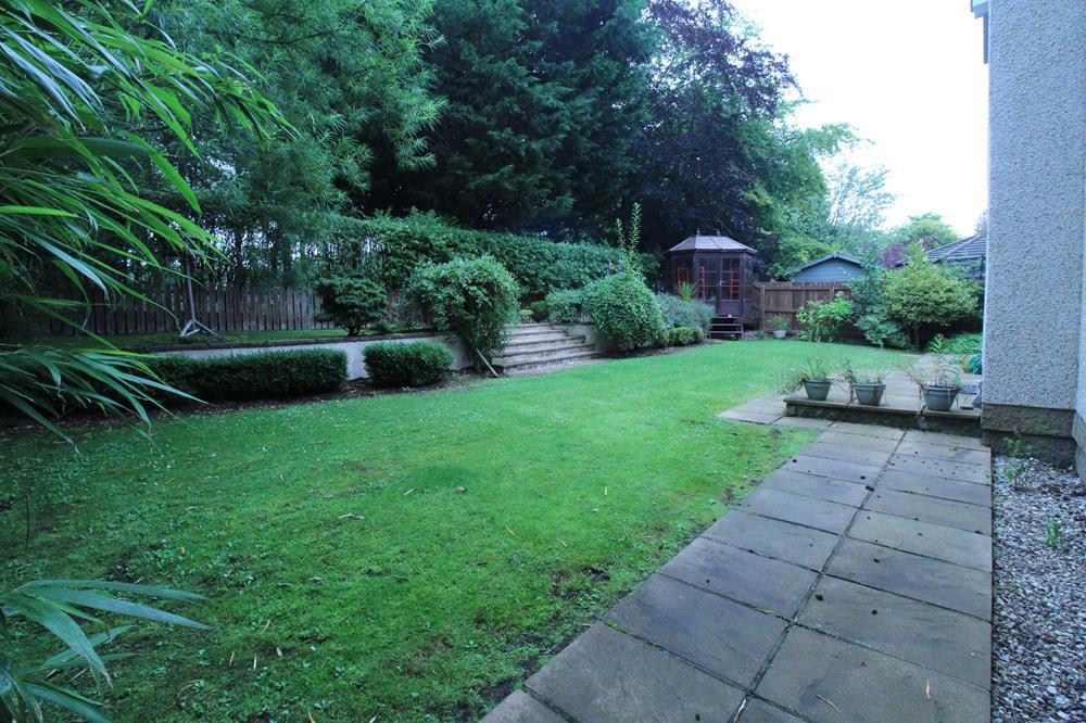 Back Garden