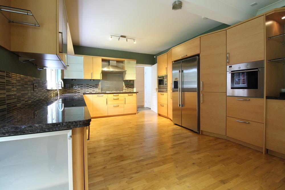 Kitchen alt view 1