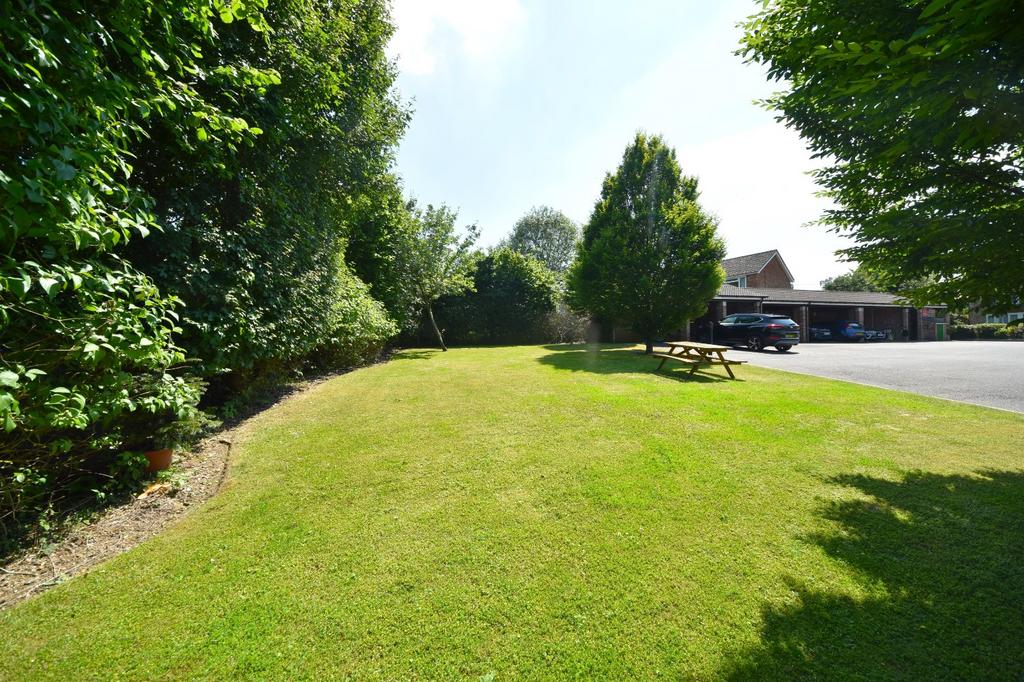 Communal Garden