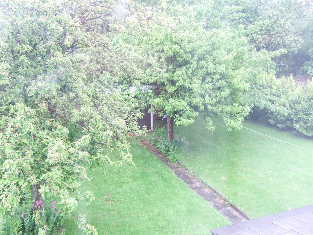 Picture No. 11