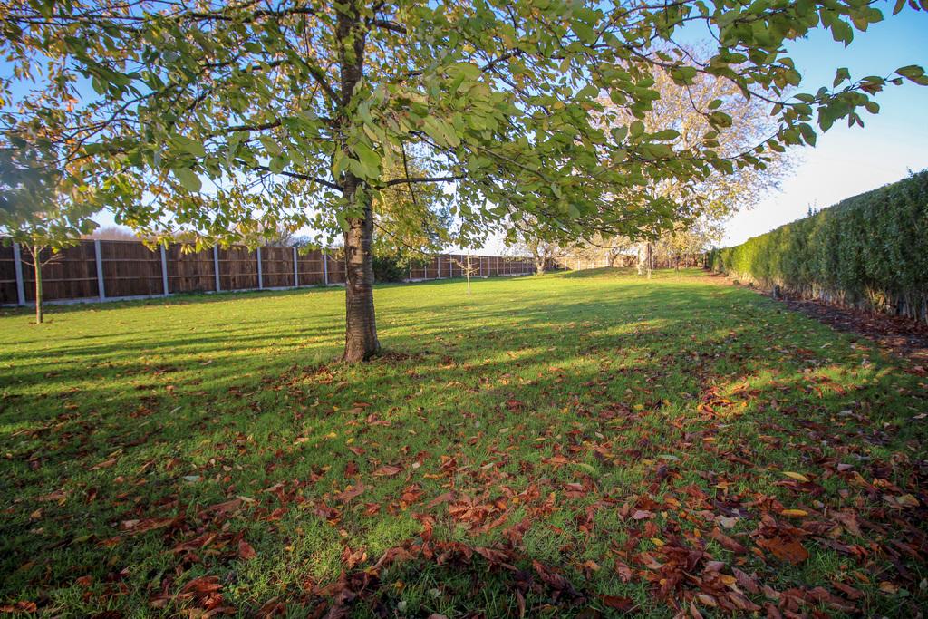 Swaffham Road, Burwell, Cambridge 3 bed detached bungalow for sale £