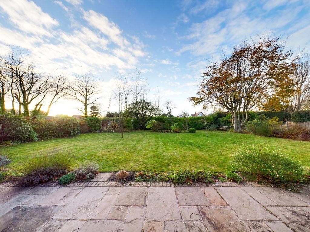 Garden at Back