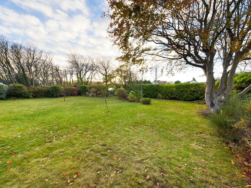 Garden at Back