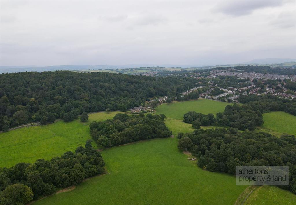 DJI 0971.jpg