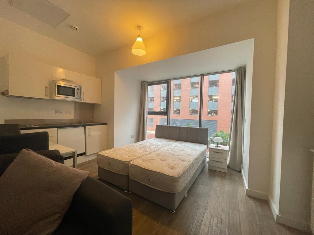Livingroom/ kitchen/ bedroom