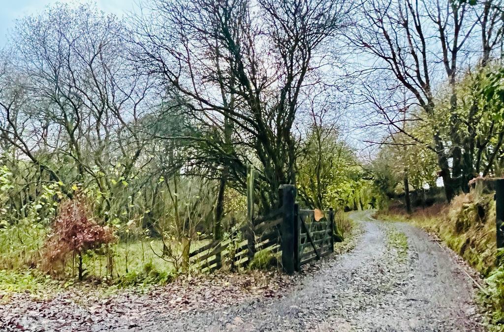 Gwynfe, Llangadog Land for sale £85,000