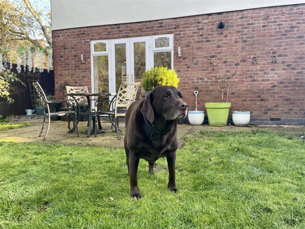 IMG 0260.jpeg