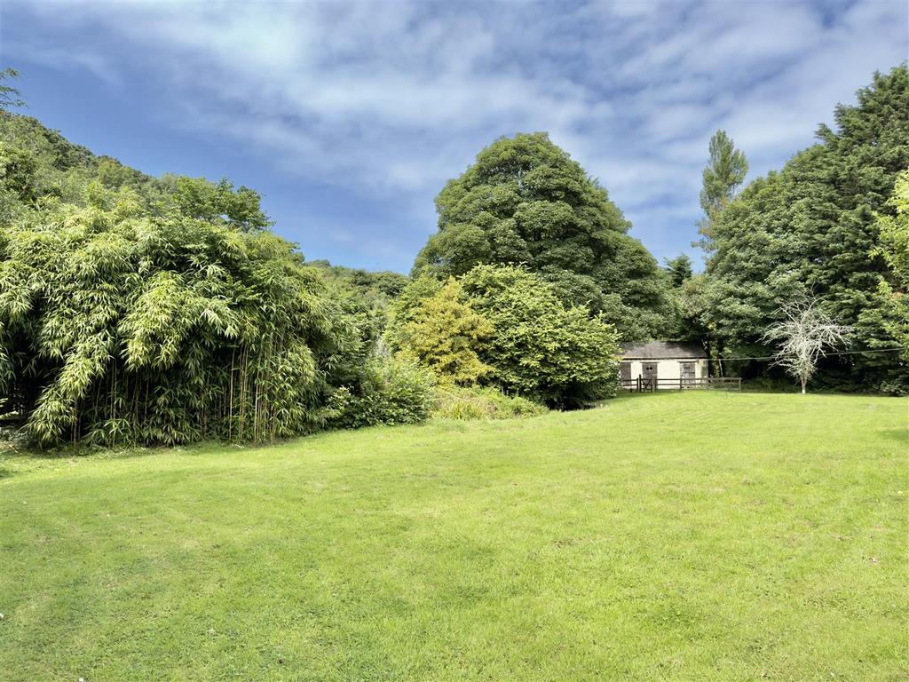 Lawn