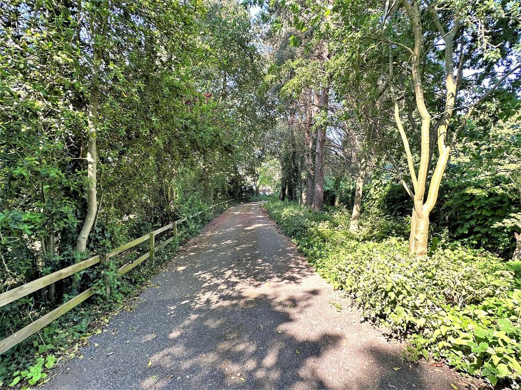 Secluded Tree-Lined Entrance 650
