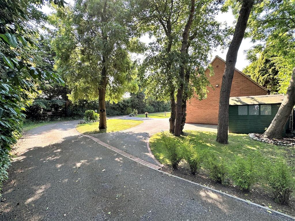Delightful Tree-Lined Approach 626