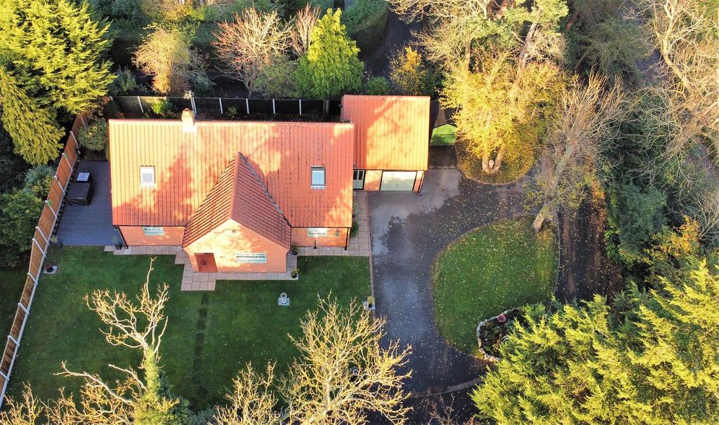 Aerial Overview 1