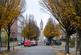 P1200887-2.jpg