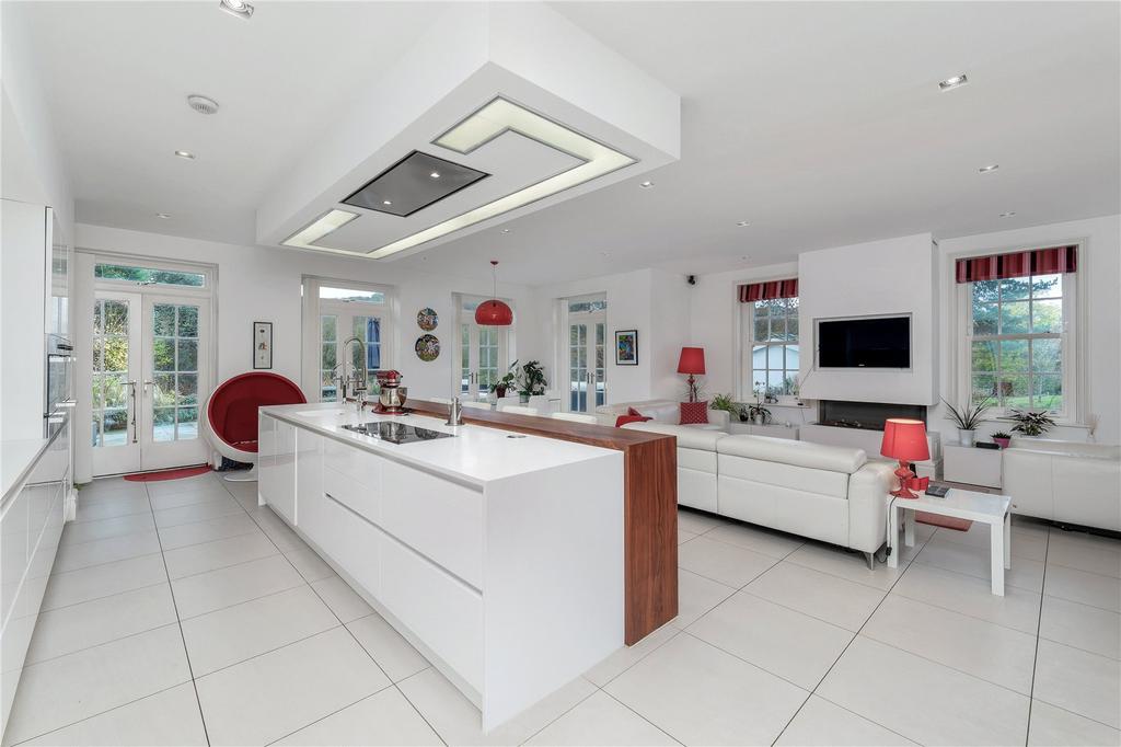 Kitchen/Living Room
