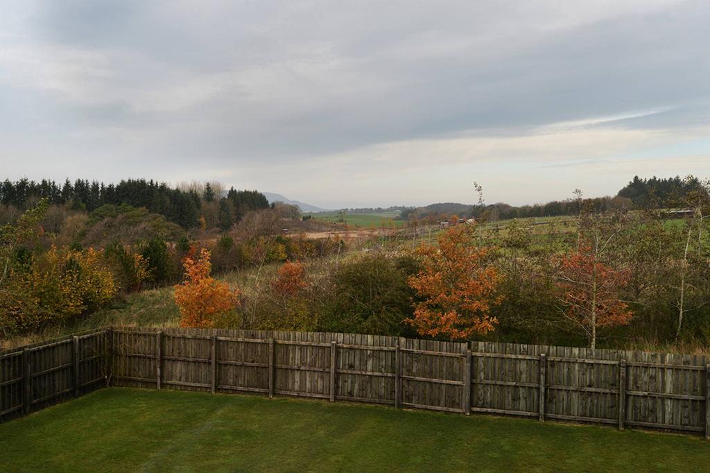 MFL9213896 455.jpg