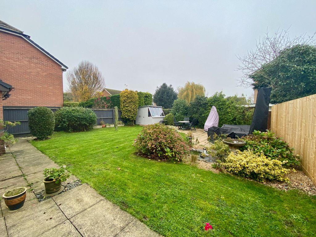 Garden at Back