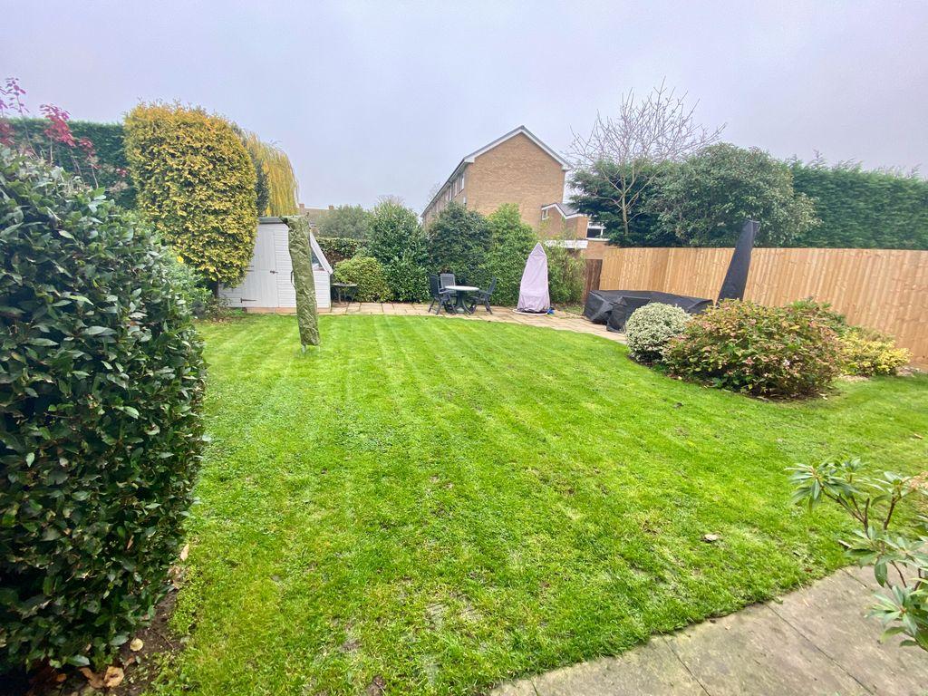 Garden at Back